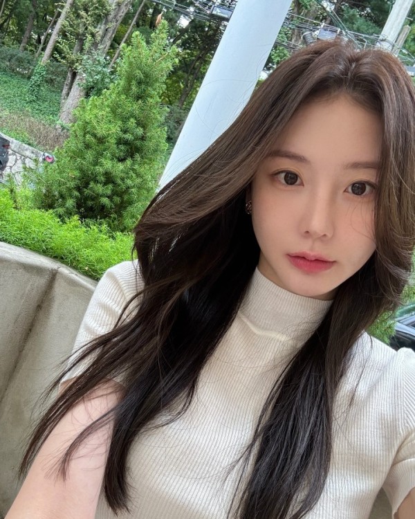 하인  이미지